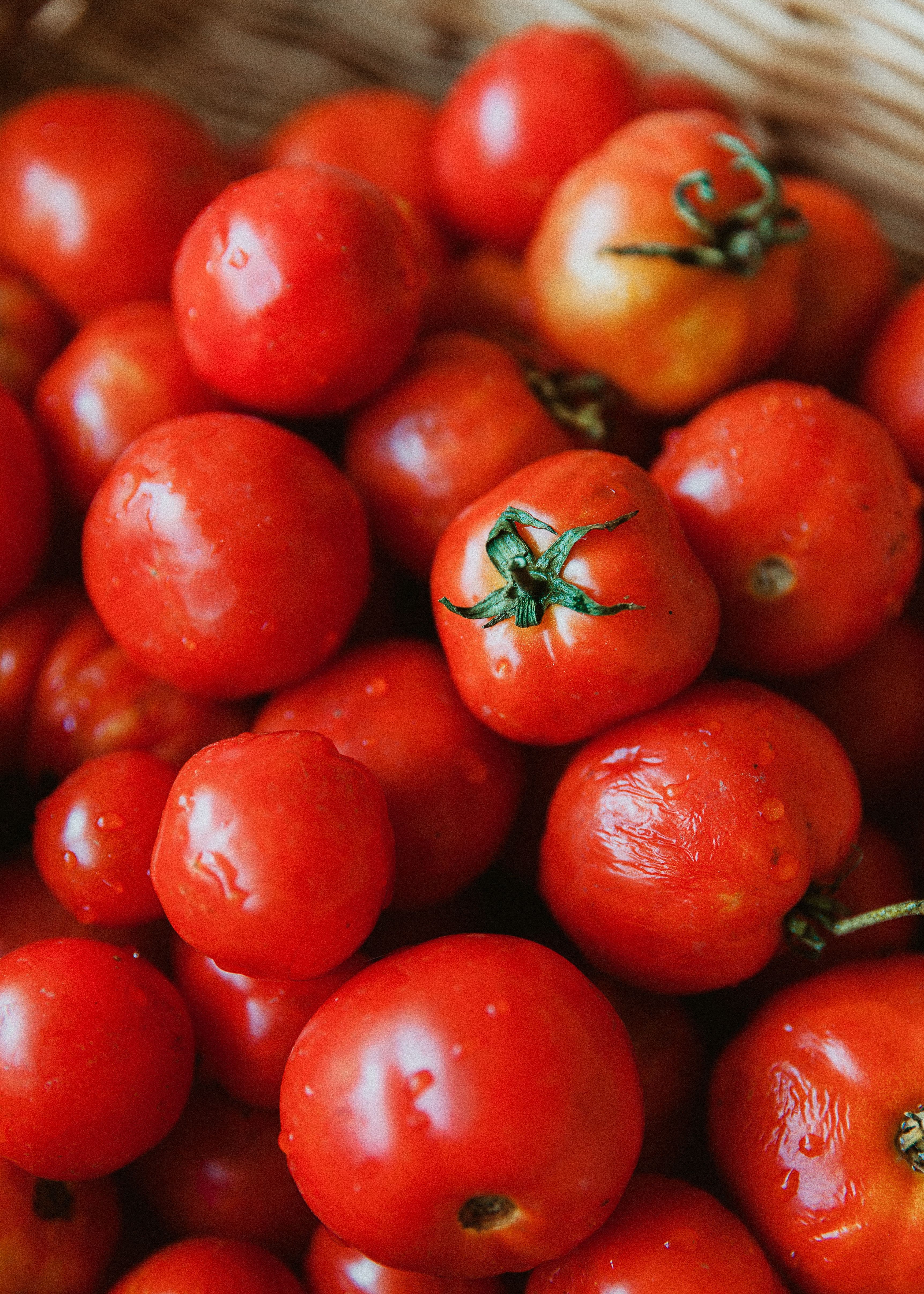 Pimientos y tomates frescos